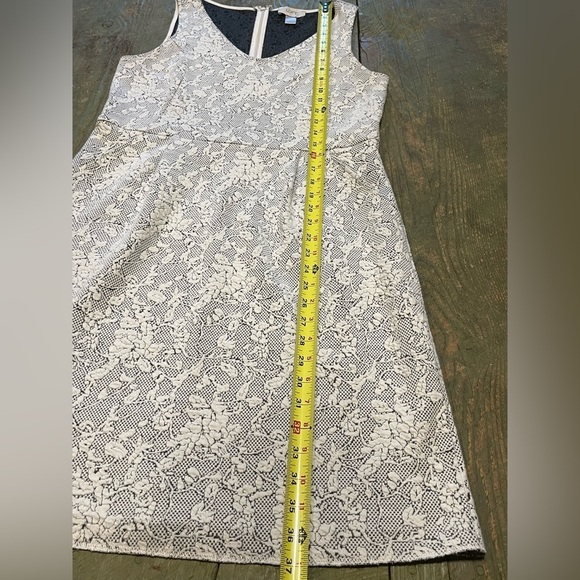 LOFT Women’s Gray & White Lace Midi Dress Wedding Work Professional | Size 8 - Picture 8 of 8
